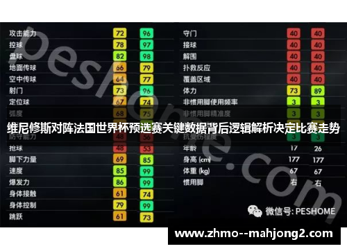 维尼修斯对阵法国世界杯预选赛关键数据背后逻辑解析决定比赛走势