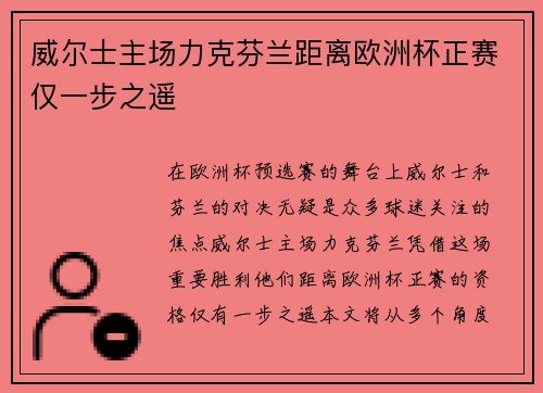 威尔士主场力克芬兰距离欧洲杯正赛仅一步之遥 威尔士主场力克芬兰距离欧洲杯正赛仅一步之遥